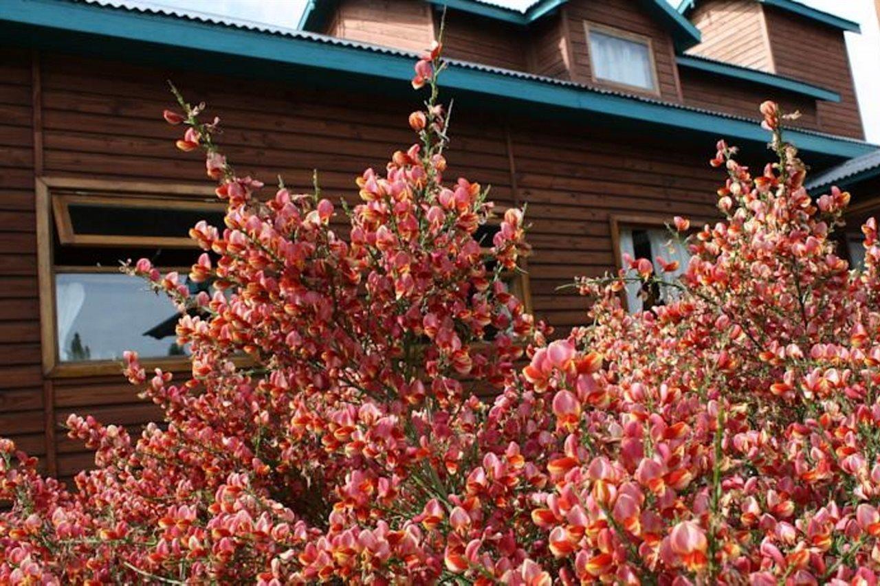 Hosteria Hainen เอลกาลาฟาเต ภายนอก รูปภาพ